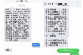 哈巴河为什么选择专业追讨公司来处理您的债务纠纷？